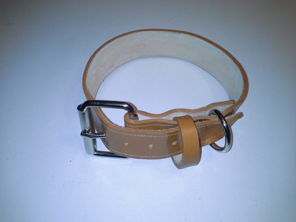 leather dog collars
