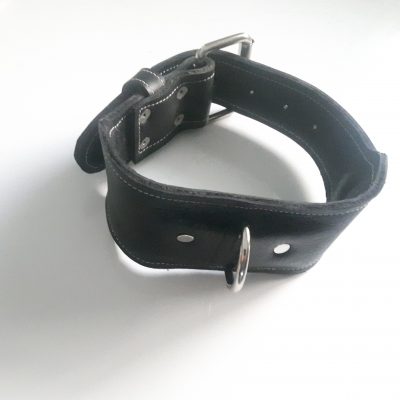 Black leather dog collar