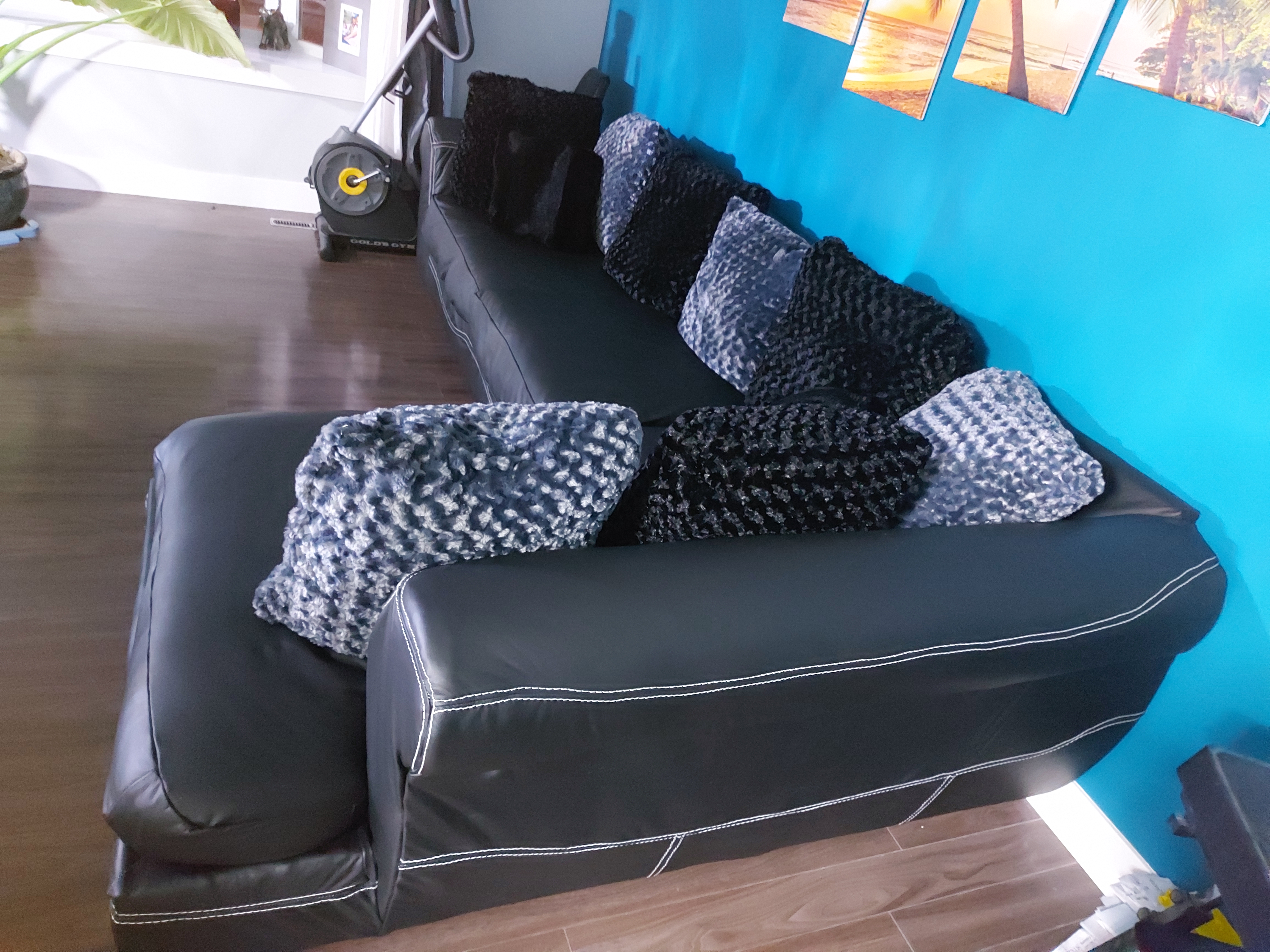 Leather Couch Recovered After